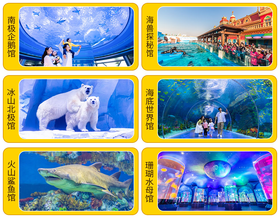 上海海昌海洋公园六大动物展示场馆